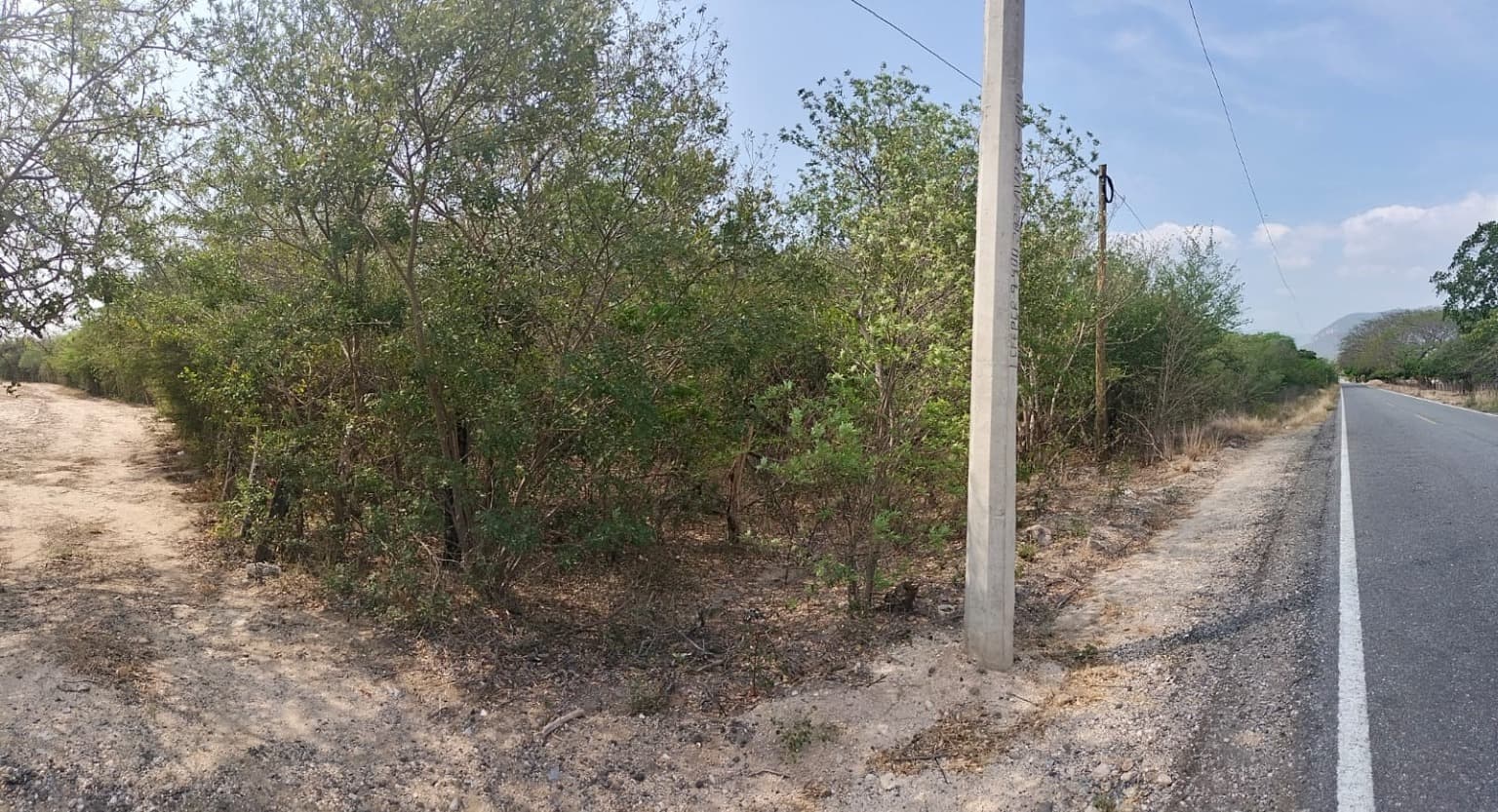 image-0