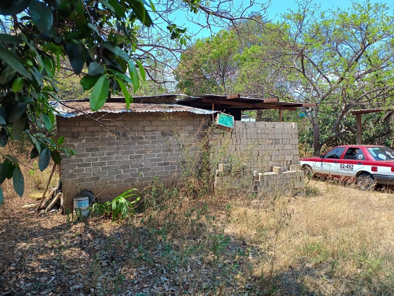 image-7