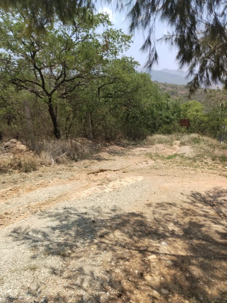 image-0