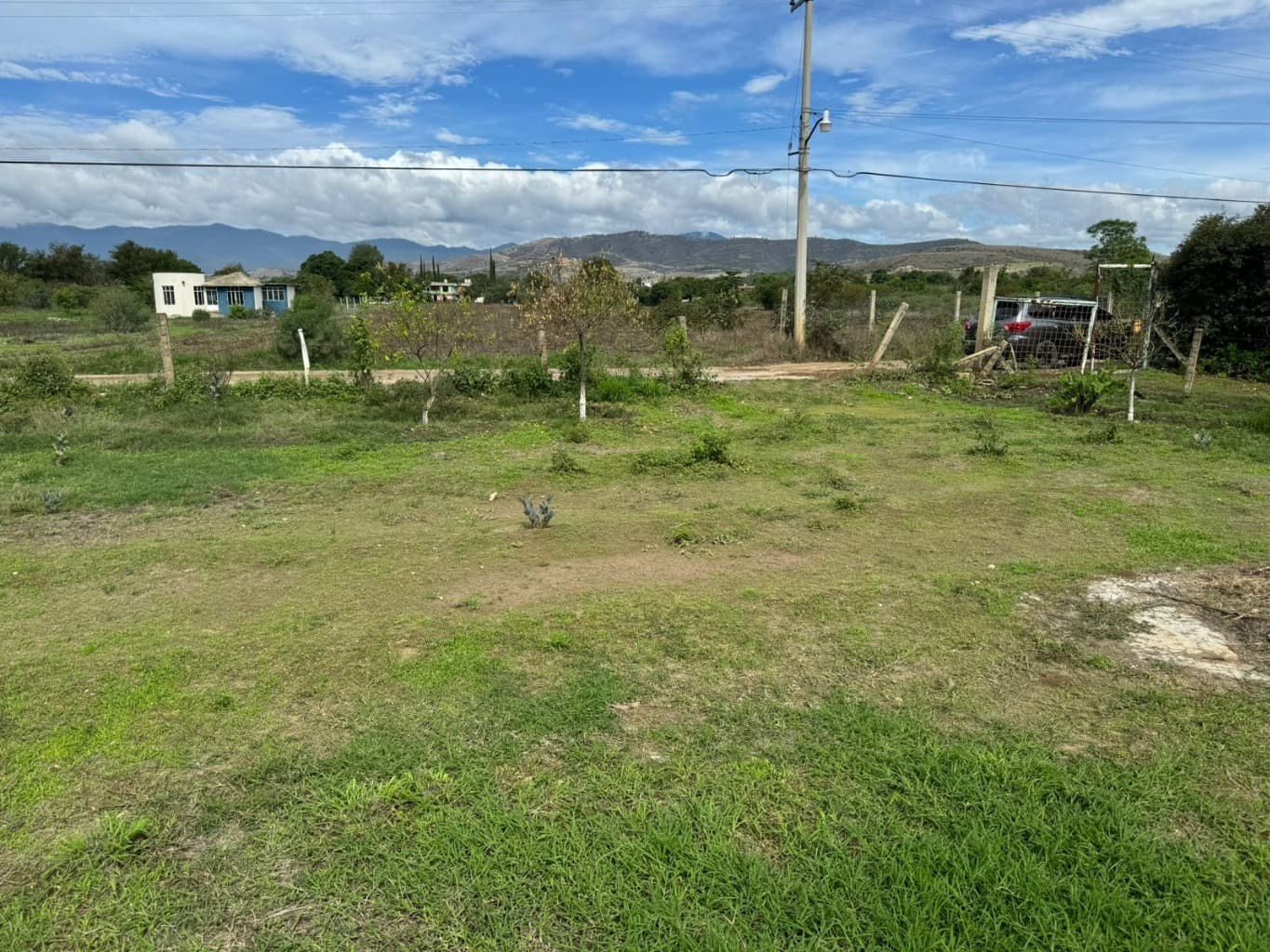 image-0