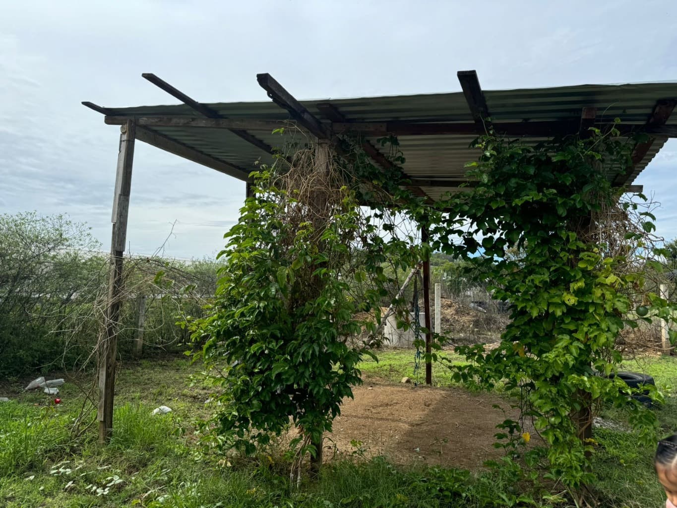 image-6