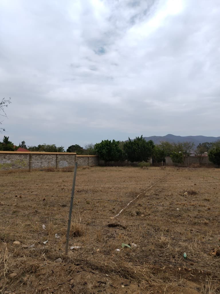 image-0
