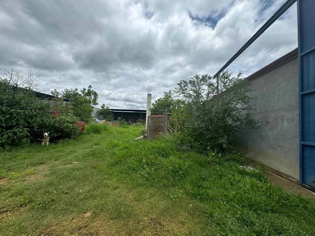 image-2