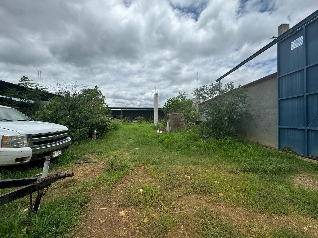 image-4