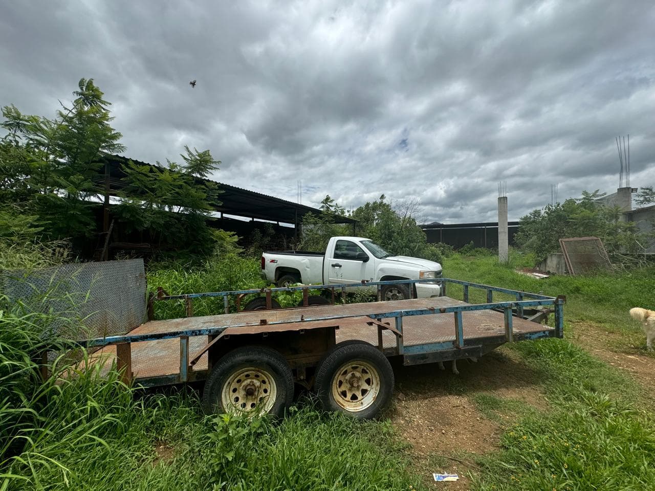 image-9