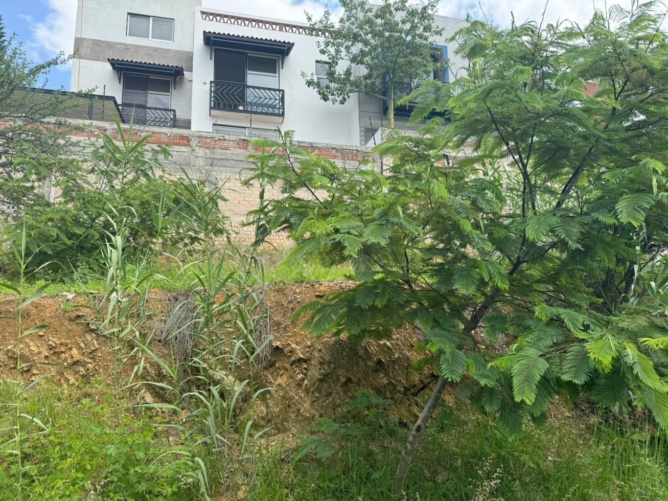 image-0