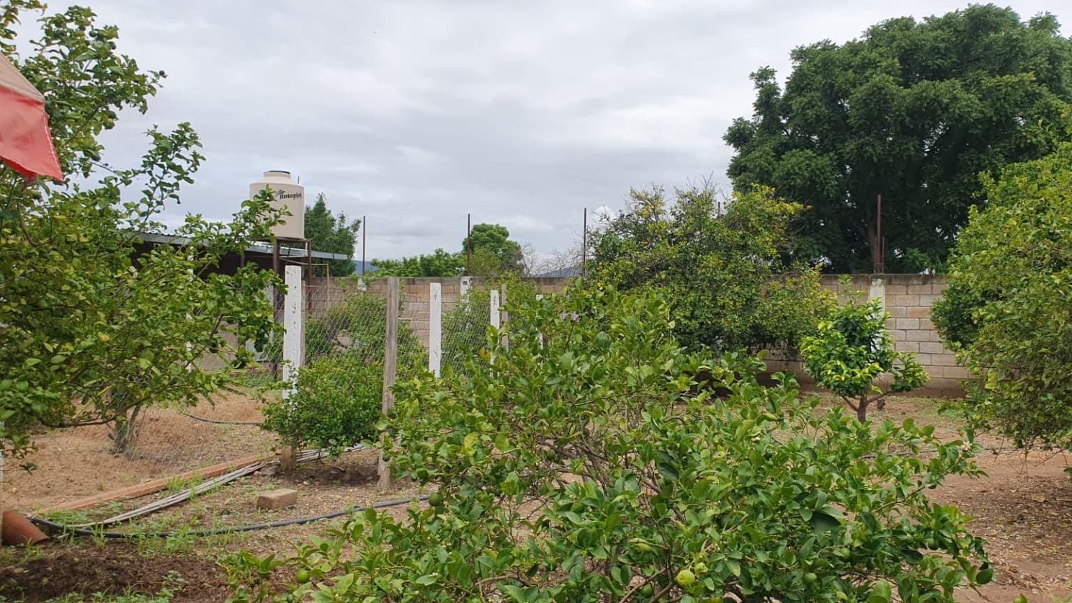 image-6
