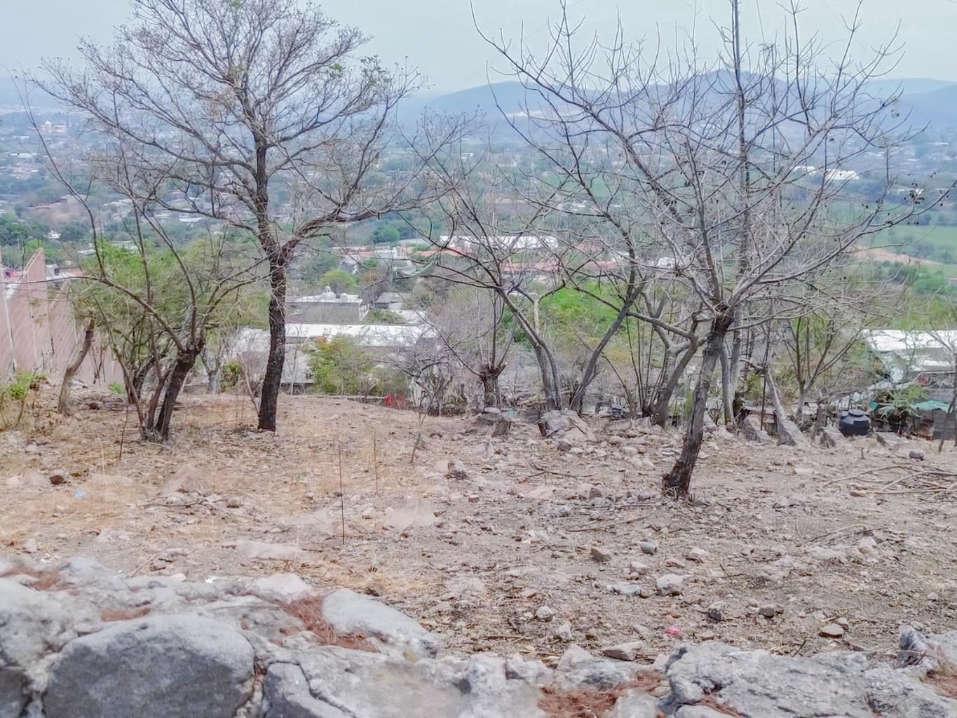 image-6