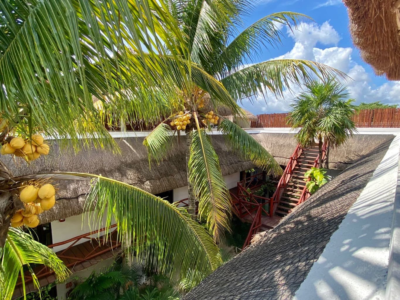 image-10