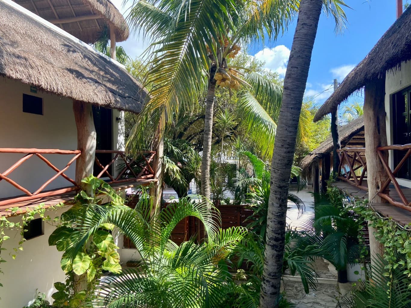 image-2