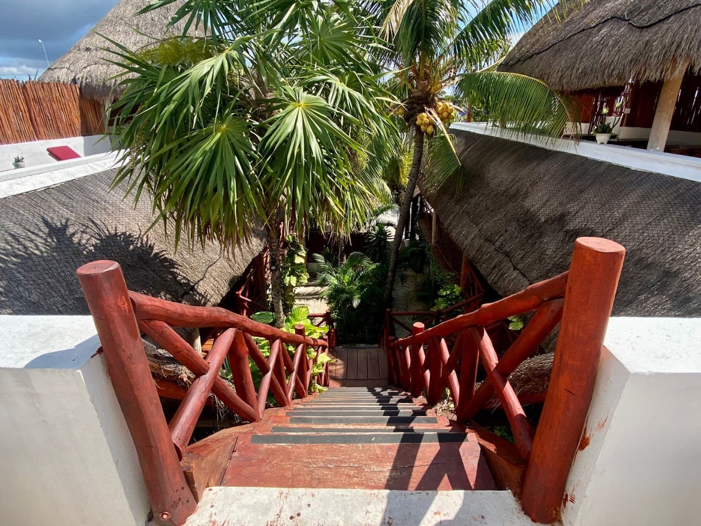 image-3