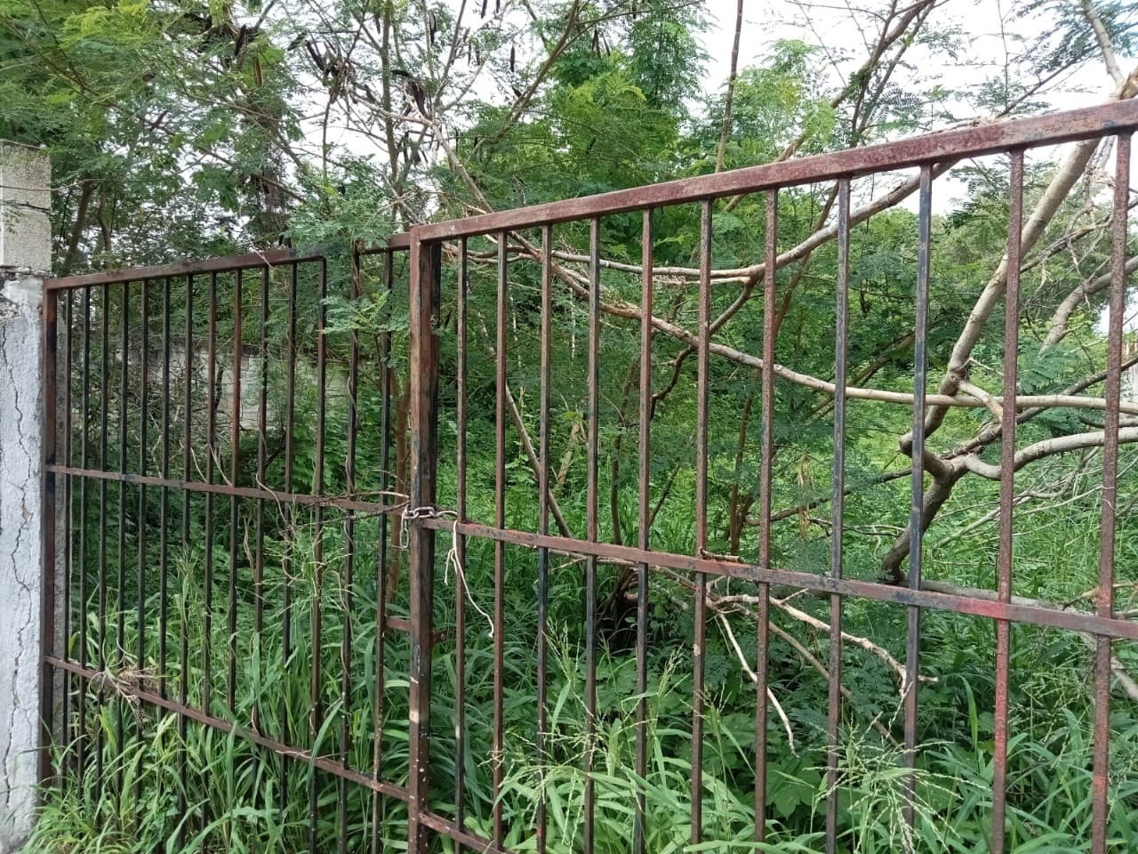 image-5