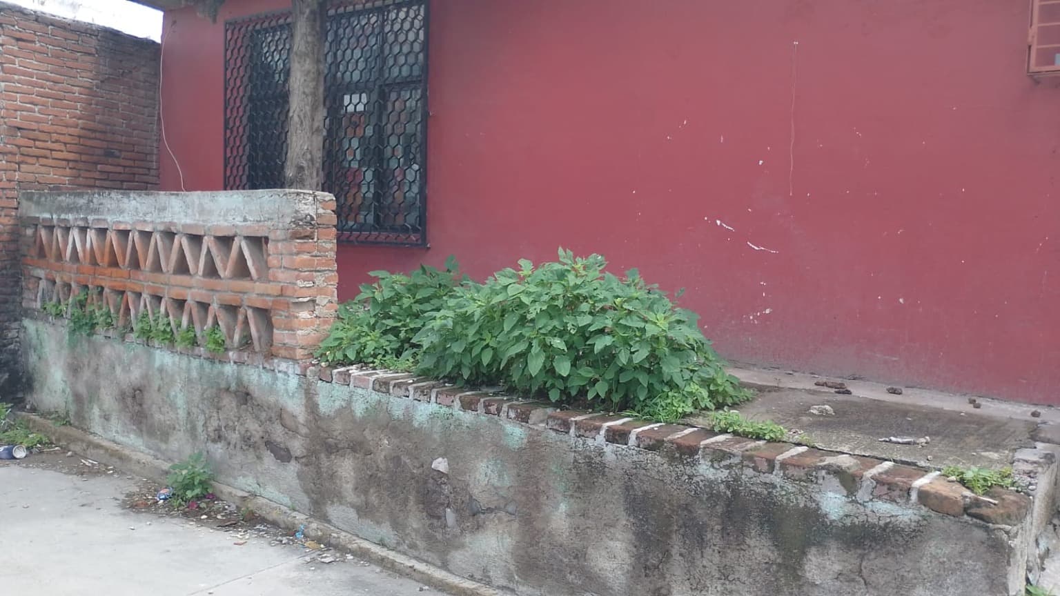 image-1