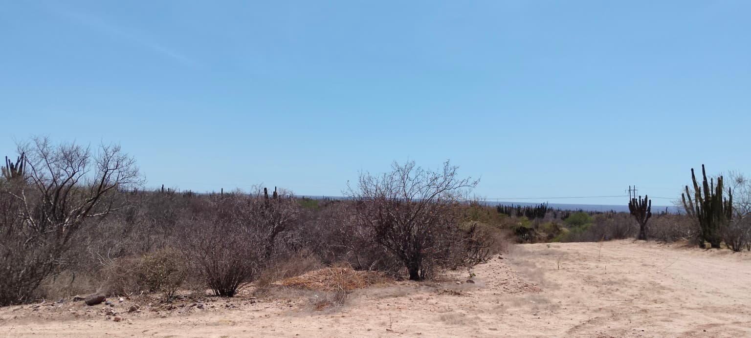image-9