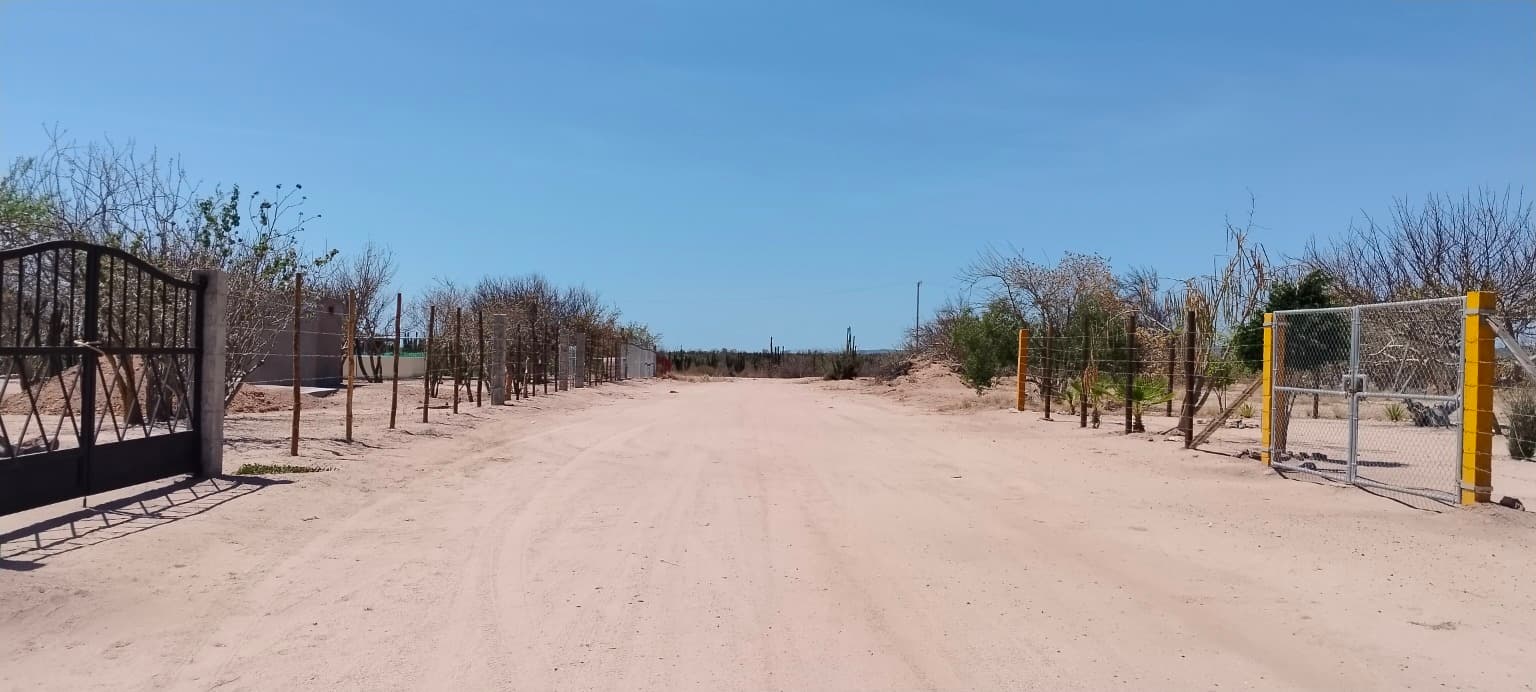 image-9