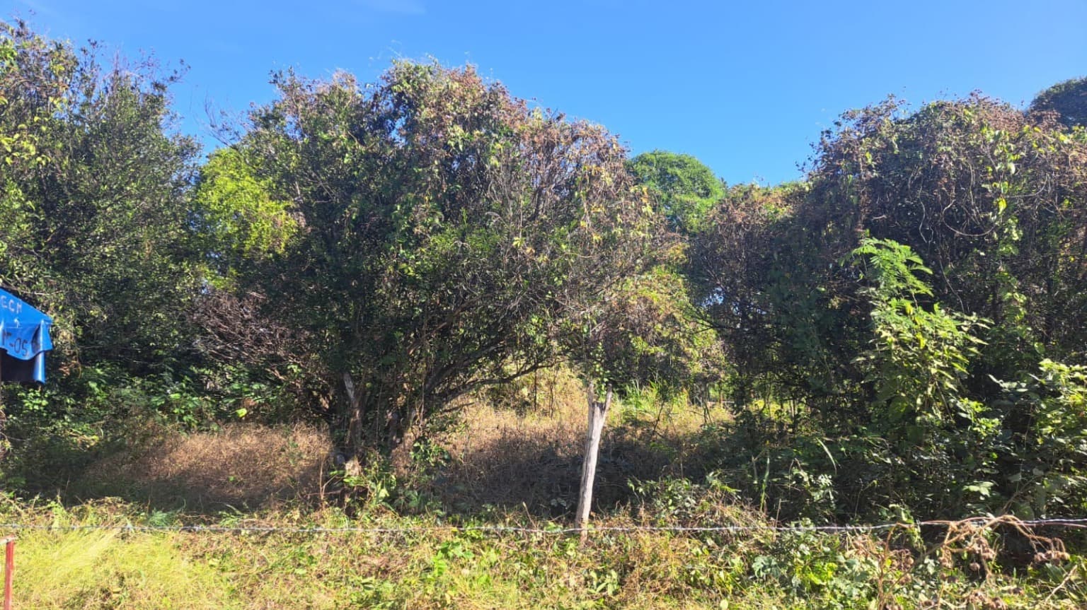 image-4