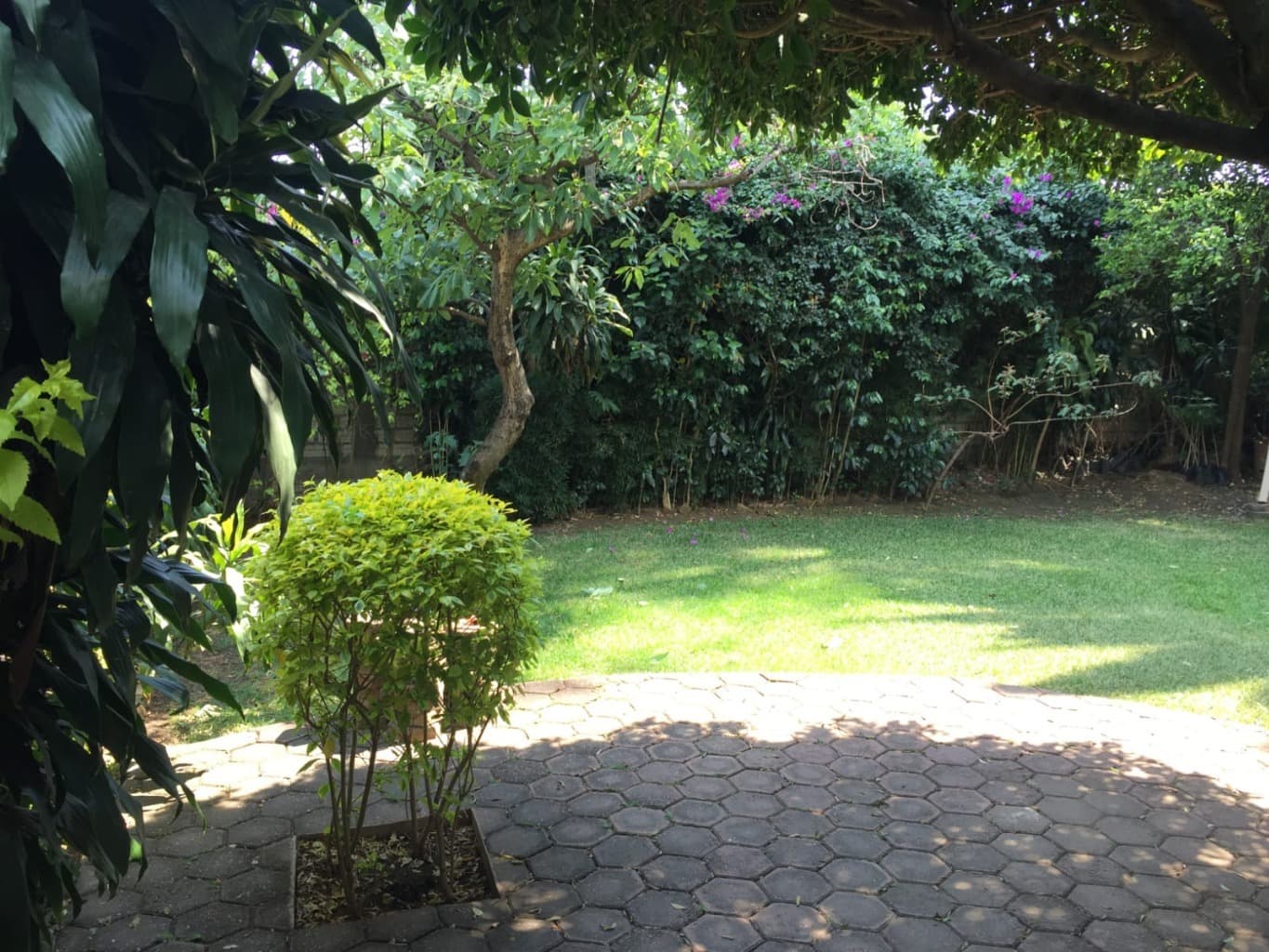 image-3
