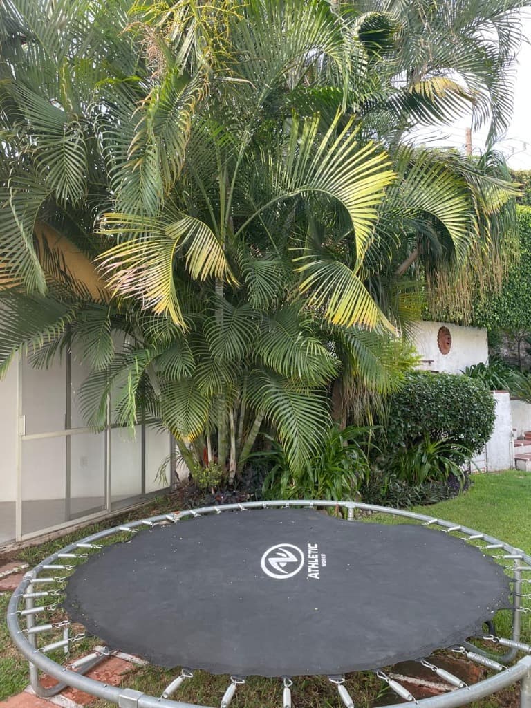 image-17