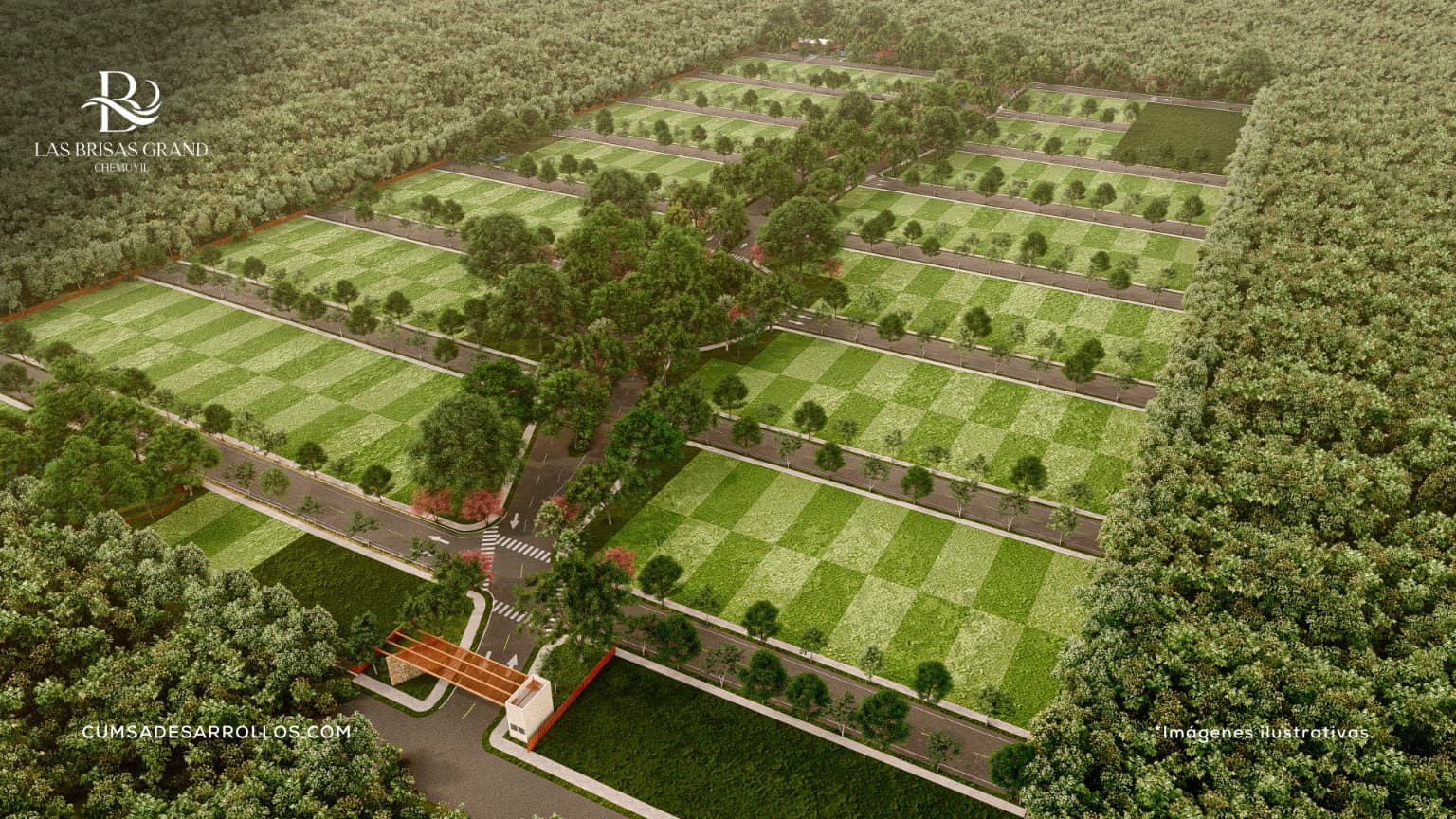 image-5