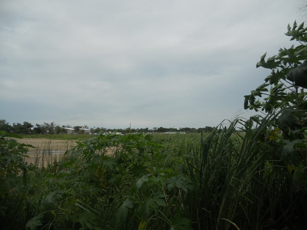 image-0
