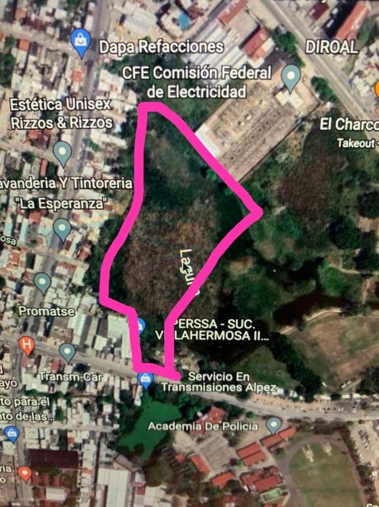 image-0