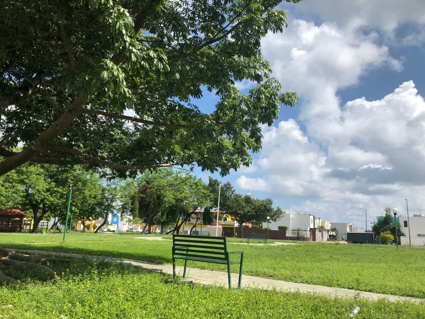 image-18