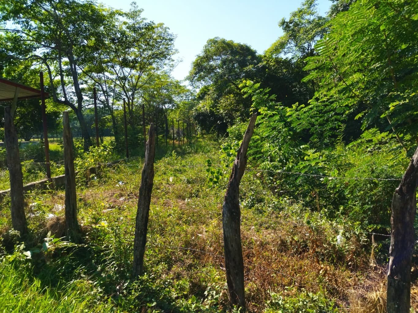 image-4