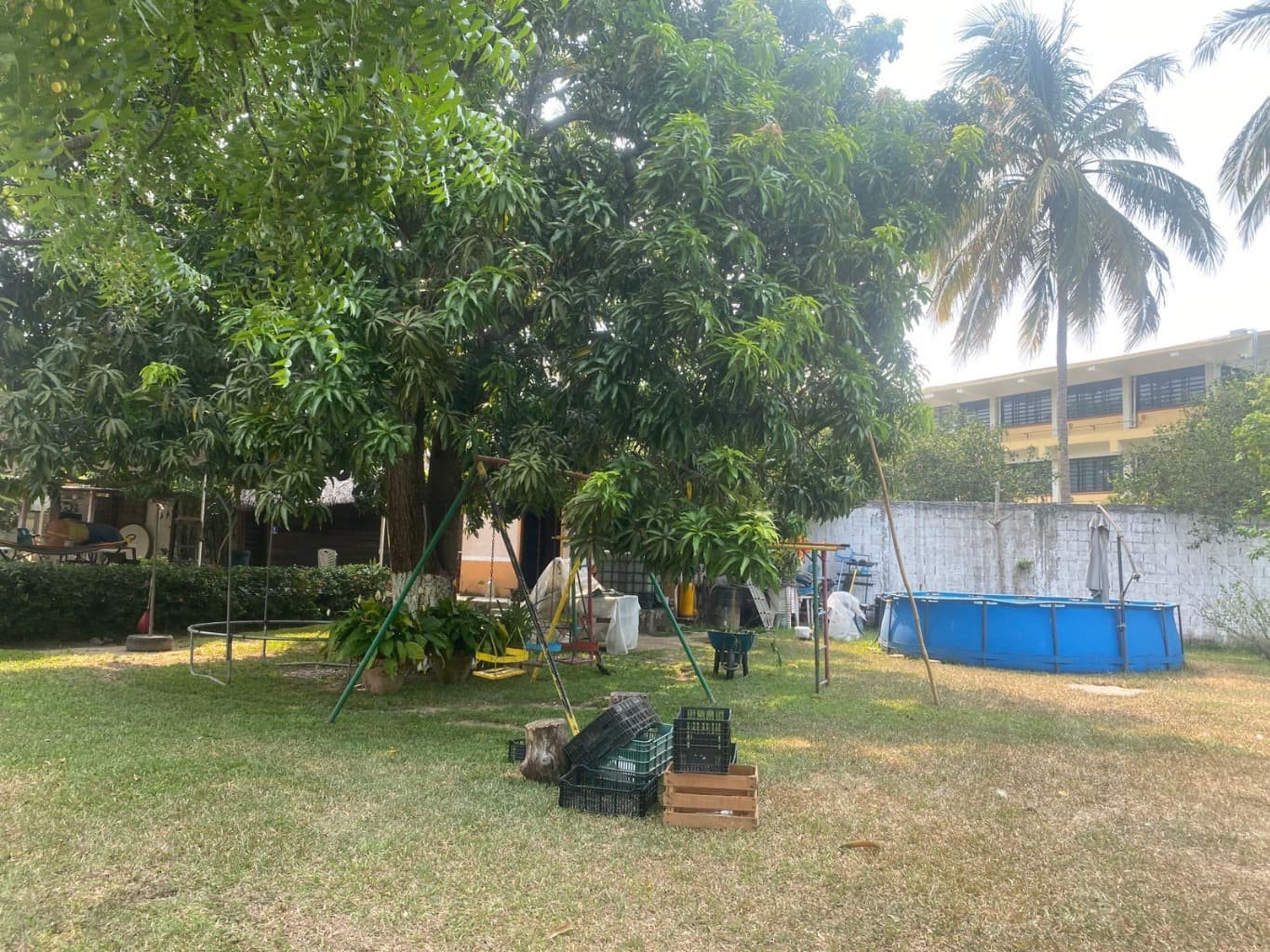 image-6