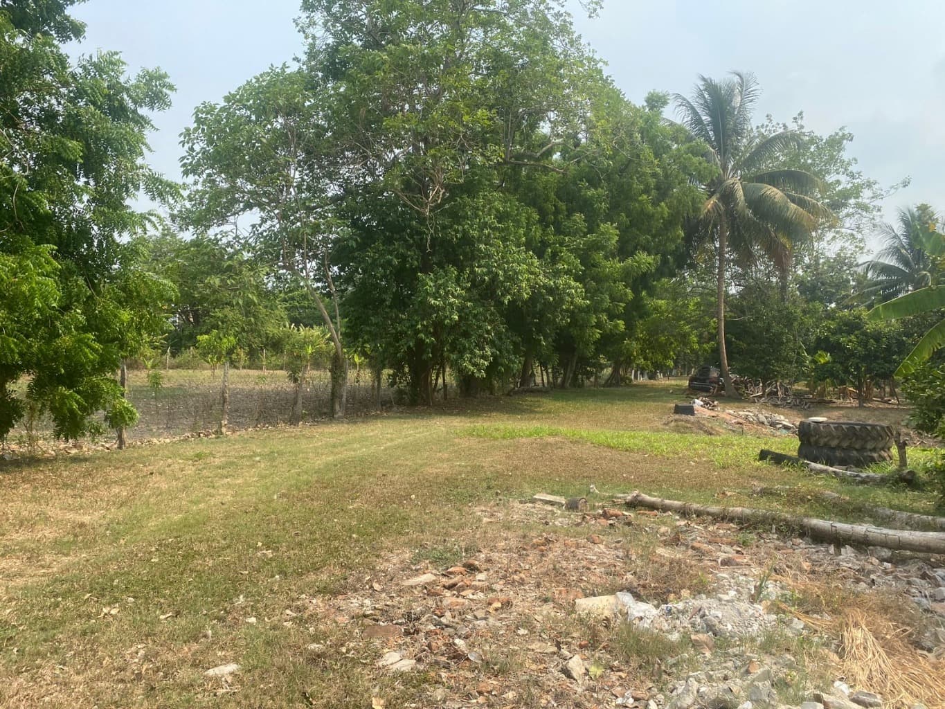 image-7