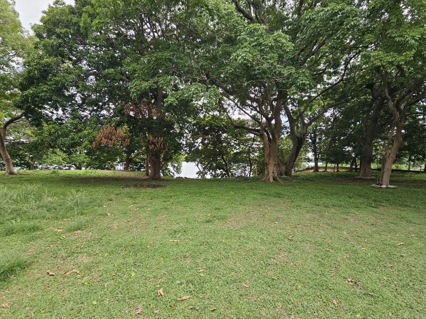 image-5
