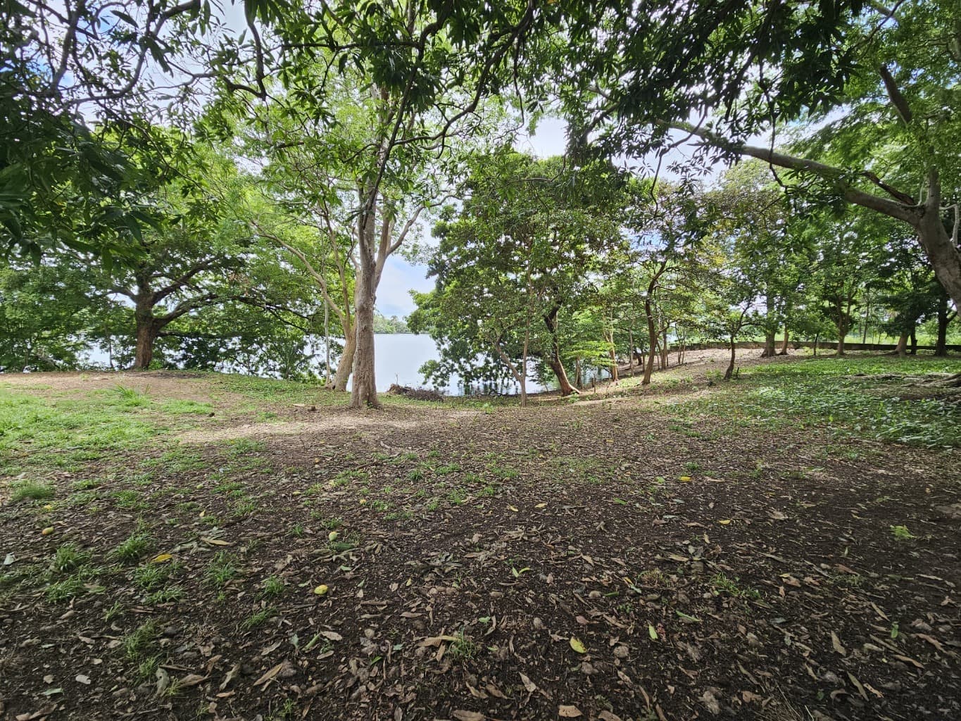 image-10