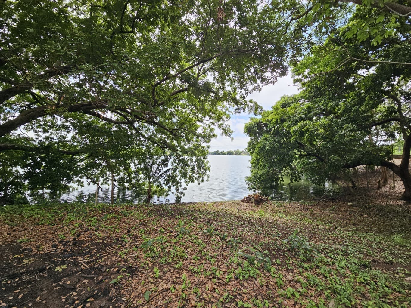 image-9