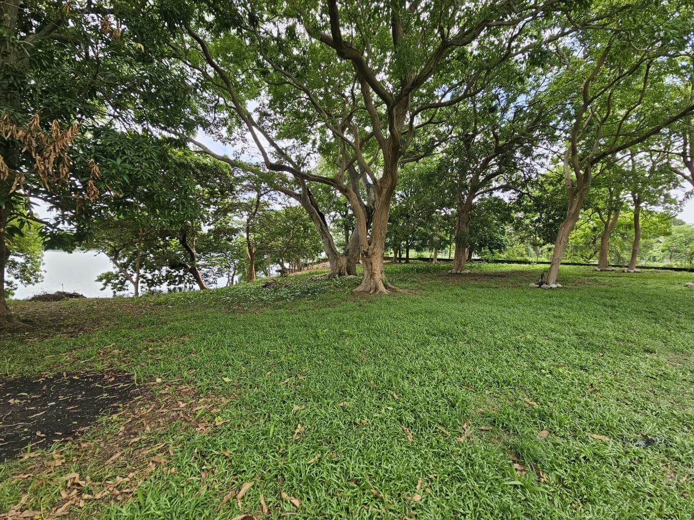 image-4