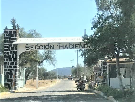image-0