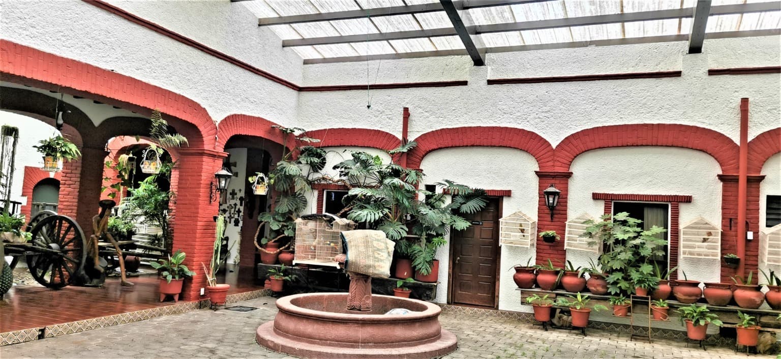 image-19