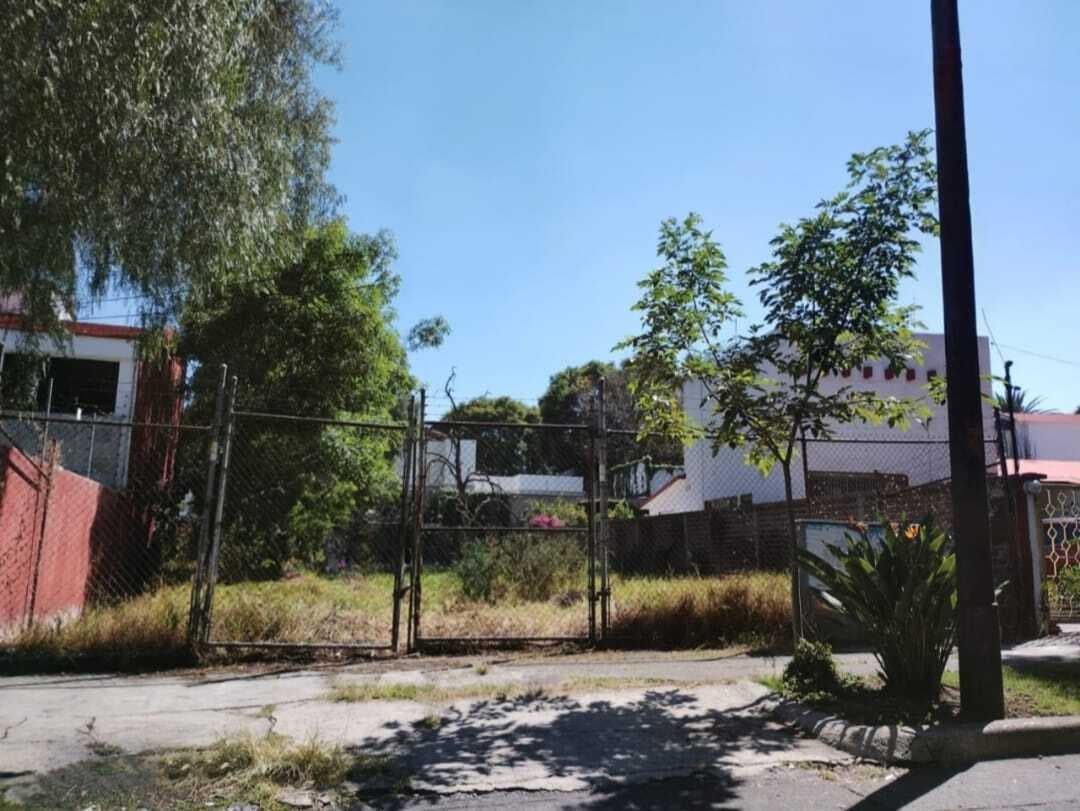 image-0