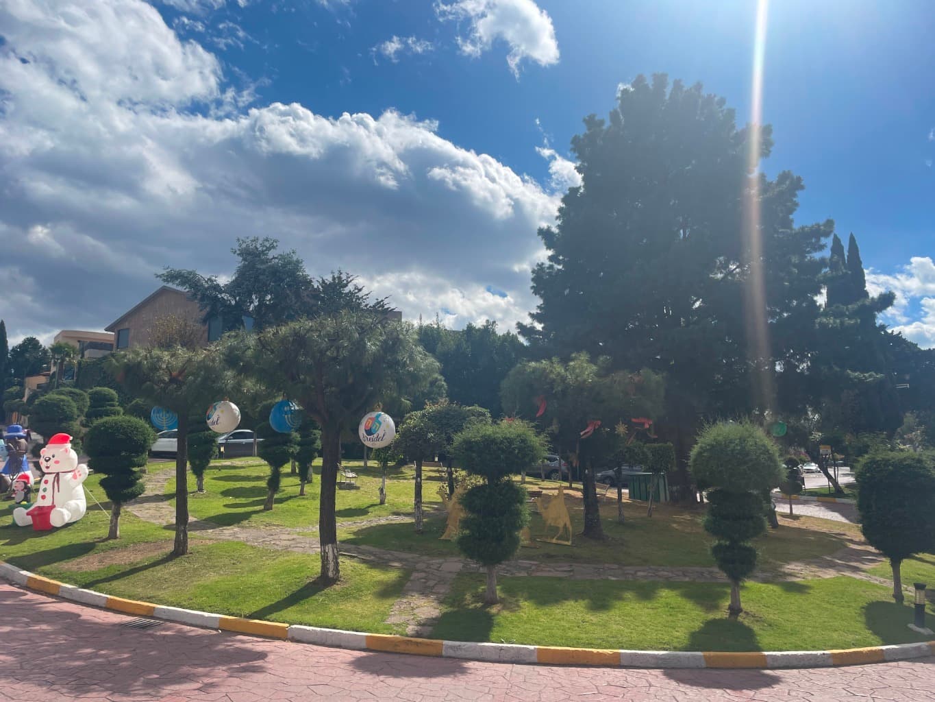 image-6