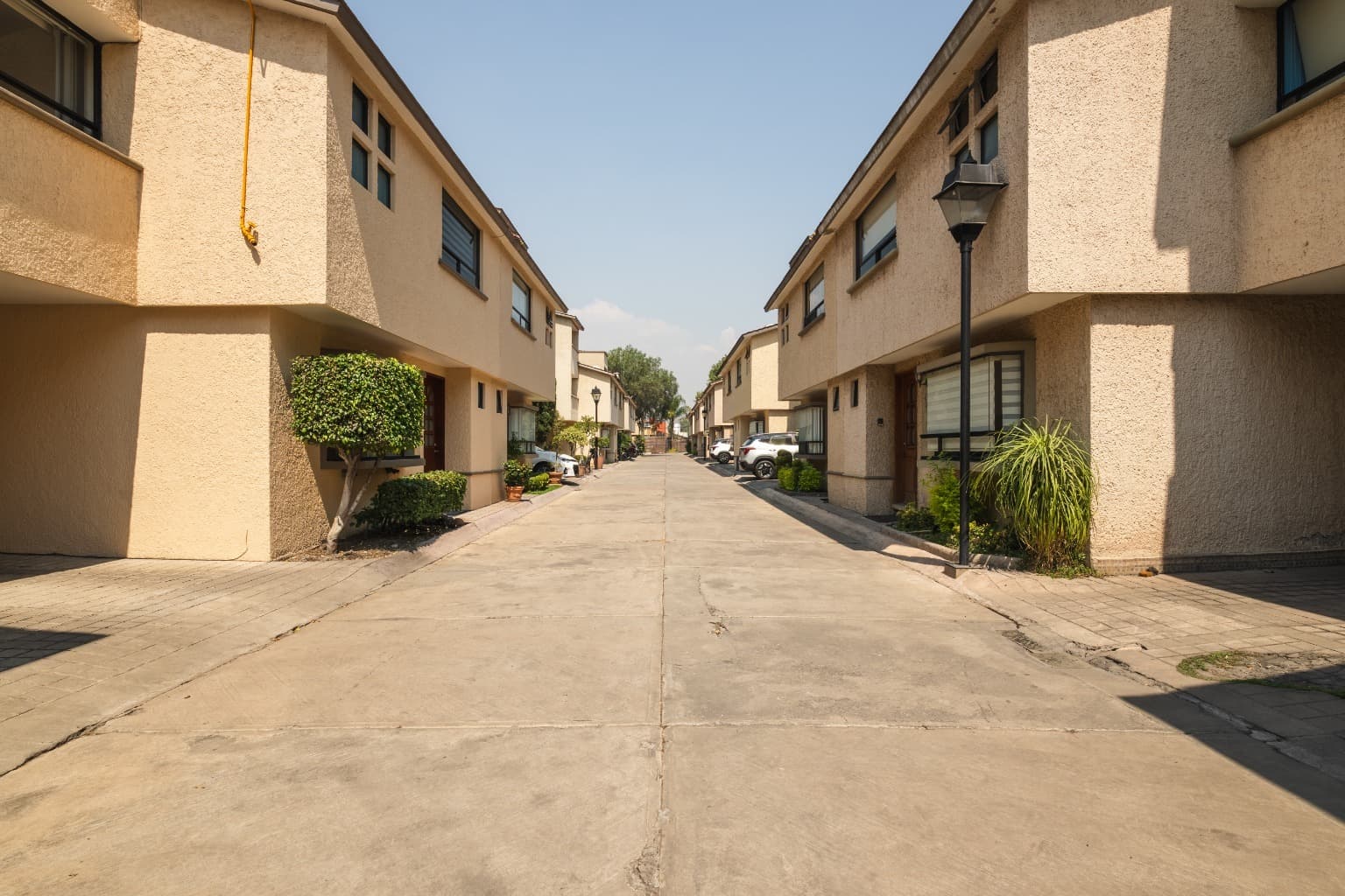 image-19