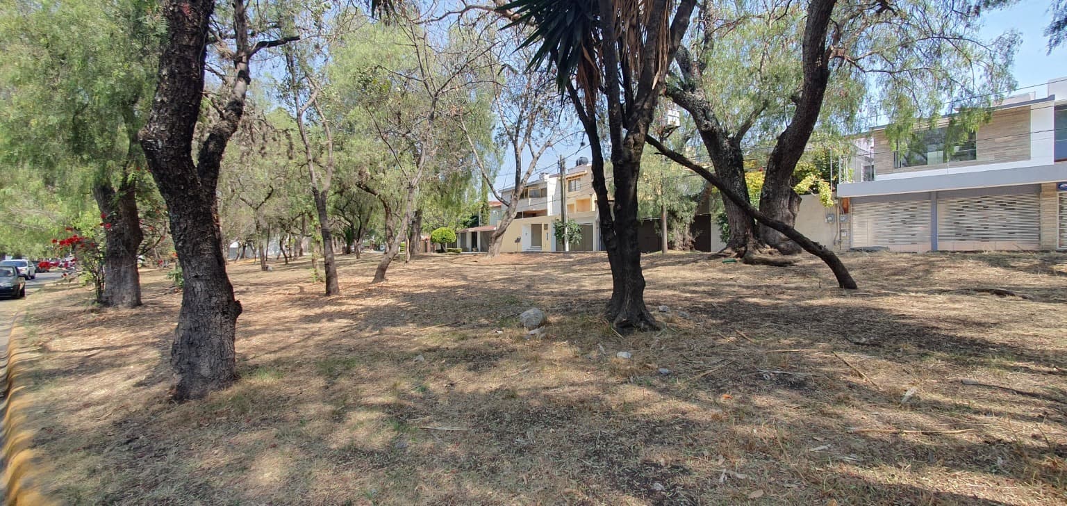 image-2