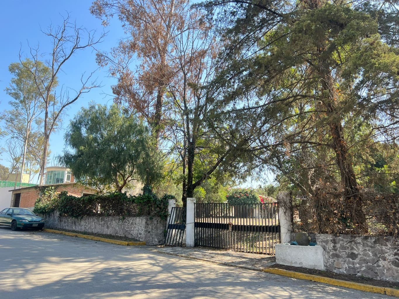 image-4