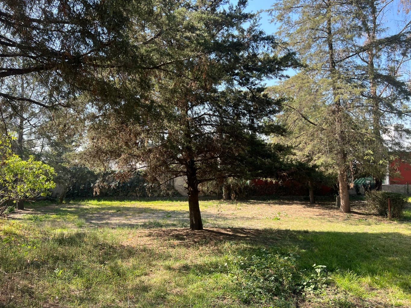 image-0