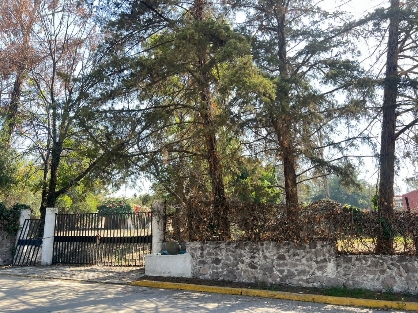 image-7