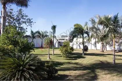 Inversión en Venta en Agua Verde, Rosario, Sinaloa 128-478